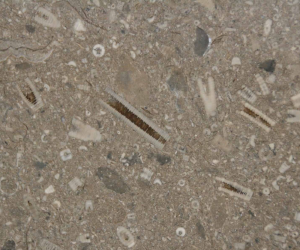 limestone